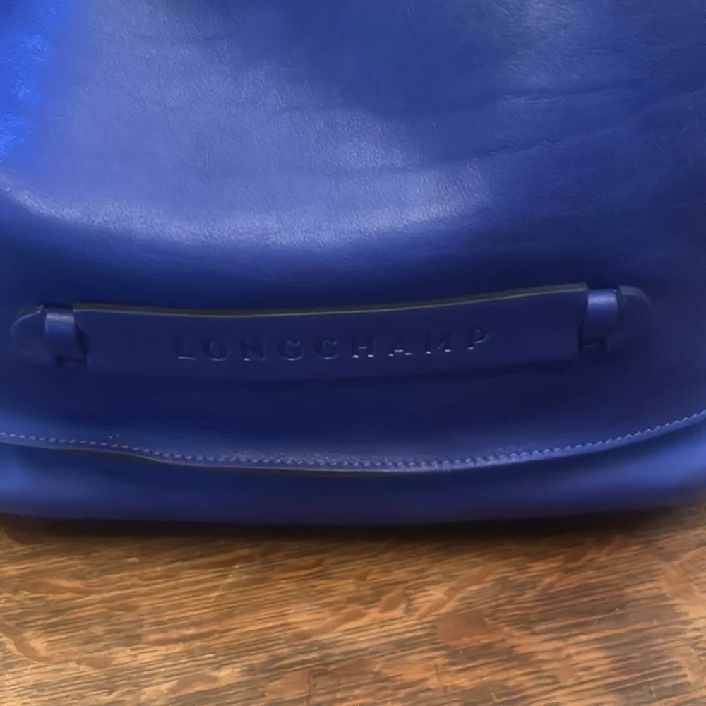 Longchamp 3D Hobo in Purple - Picture 2 of 16